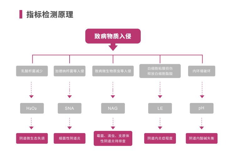 全自動陰道炎午夜福利理论片在线观看LTS-V400指標檢測原理