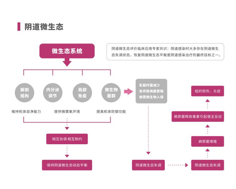 全自動陰道炎午夜福利理论片在线观看LTS-V400陰道微生態係統