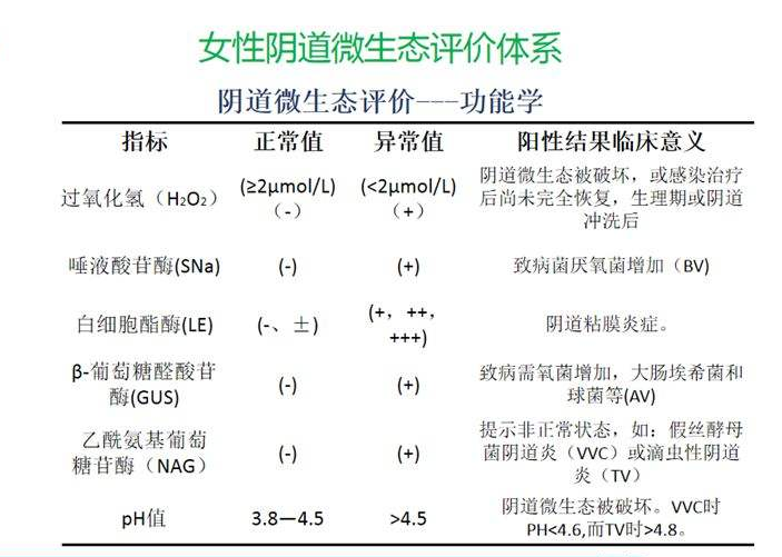 婦科微生態午夜福利理论片在线观看器